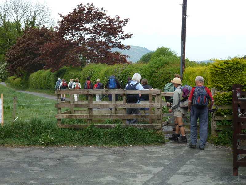 Walking Group